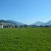 Das weite Wiesenplateau von Lingenau
