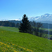 Am Schweizberg zeigt sich erstmals der Hohe Ifen