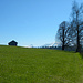 Sanfte Hügel bei Rotenberg