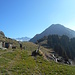Dall'Alpe Bassetta verso la cresta che percorreremo del Monte Brusada