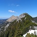 Rückblick zum Seichenkopf. Die Gipfelrinne ist leider von Latschen verdeckt, aber die erwähnte Felsrippe, die vom Gipfel nach links unten zieht, kann man gut sehen.