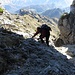 .......Salita al Torrione