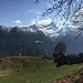 Ritorno all'Alpe Col