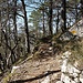 Waldweg hoch zum Mont Raimeux