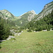 im schönen Bernhardstal, mit Blick zum Strahlkopf(in der Bildmitte)