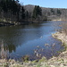 Bei Černčice - Südlich des Ortes ist der Milešovský potok (deutsch: Milleschauer Bach) zu einem kleinen See (Schwarzer Teich) angestaut.
