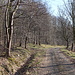 Unterwegs zwischen Malá Francka und Kostomlatský vrch -  Gleich verlassen wir den markierten Wanderweg Černčice - Kostomlaty, der hier am Waldrand verläuft. Nach links biegen wir in den Wald ab, um noch den Gipfel Kostomlatský vrch zu besuchen.