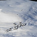 Tiefblick vom Gipfel der Mederger Flue auf die im Winter verlassene Walsersiedlung Medergen - im Sommer ein beliebtes Ausflugsziel, nicht nur wegen der urigen Berggastronomie