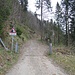 Die Alpstrasse durch den Rotensteinwald.