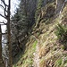 Ein schmaler, schöner Pfad führt von der Alp Egg zum kurzen Klettersteig.