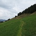 Der Wanderweg von der Stockberghütte zum Südwestgrat.