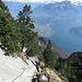 Der Abstieg über die Kalkplatten zur Alp Zilistock ist gut mit Drahtseilen gesichert.