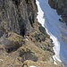 Wegspur in den Bielgraben hinein (ca. 1800 m)