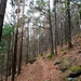 Vom Wasigenstein aus ging es dann, der rot-weiß-roten Markierung folgend, hinauf in den Col du Maimont, und von dort aus auf den Gipfel des gleichnamigen Grenzbergs Maimont.