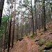 Vom Wasigenstein aus ging es dann, der rot-weiß-roten Markierung folgend, hinauf in den Col du Maimont, und von dort aus auf den Gipfel des gleichnamigen Grenzbergs Maimont.