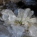 Fiore di ghiaccio