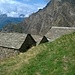 Alpe Stavelli 1493 mt.