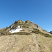 Auf der Kammhöhe. Links (gegen Osten) haften noch kleine Schneefelder am Hang. Die letzte Etappe zum Gipfel erfolgt über Felsen (unschwierig).