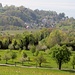 Blühende Landschaft bei Goldbach am Überlinger See