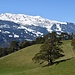 Nochmal ein Eindruck vom Vorder Ochsenberg: Frühling und Winter.