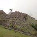 Einfach Machu Picchu