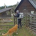 Über den Breitenauer Steig, den Buchecksattel und die Jagaalm zurück zum Startpunkt