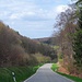 Es ist etwa ein Kilometer bis zur Straße, die durch die Königsdelle von Norden auf den Donnersberg hinaufführt.