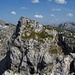 Krähe