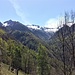 Anche dalla stradina forestale si godono delle belle viste sulla testata della Val Traversagna.
