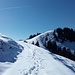 Kurz vor den Spitzingalmen mit Blick zur Spitzingscheibe