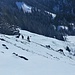 Gämsen im Anstieg zum Türkenköpfl
