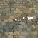 Particolare del tetto della <a href="http://viestoriche.net/sanlucio.html" rel="nofollow">Chiesa di San Lucio</a>