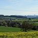 Oberhalb von Zezikon hat man einen schönen Blick aufs ländliche Thurgau