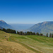 Ausblick bei Schwand in Richtung Zugersee und Rigi. Es ist etwas diesig.