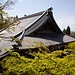 Das Dach der Haupthalle des Tempels von Eikan-dō / 永観堂 zwischen Ahornbäumen. Eikan-dō / 永観堂 ist bekannt für die Herbstfärbung der Ahornblätter.
