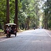 Straße in Angkor Thom.