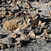 Lavagestein auf dem Teide