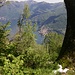Noch ein schöner Ausblick während des Aufstiegs auf den Lago di Como.