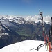 Der Plunder geniesst die Aussicht zu den Berner Alpen