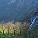 Die Wasserfälle vom Ri di Cranzünasc mit einer Gruppe von Bäumen im letzten Sonnenlicht