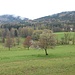 Schöne Landschaft bei Buchenau, die Wolken des nächtlichen Dauerregens hängen noch in den Hügeln