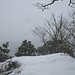 ein hübscher Gipfelplatz - wenns doch nur etwas sonniger wäre ...
das Schneetreiben war so heftig, dass wir sogleich wieder abstiegen