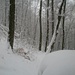 echt winterliche Verhältnisse beim Anstieg am Leenberg