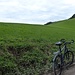 Das deponierte Bike ist schon wieder im Einsatz. Schöne Grüne Hügel sind das, da muß man noch lange kein Wagnerianer sein...