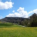 ... und auf Fasiswald - mit Blick zu den nordseitigen Felswänden des [http://www.hikr.org/tour/post33597.html herrlich zu überschreitenden] Homberges