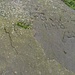 Inschrift auf dem Klettergipfel