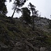 Der Gipfelaufbau des Kofels bietet etwas Kletterei