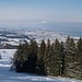 Blick vom Wisflecken zurück zum Bodensee...