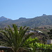 oberhalb Adeje bei La Quinta