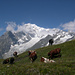 Sur le Tour du Mont Blanc: Paysage de carte postale sur le versant italien du massif